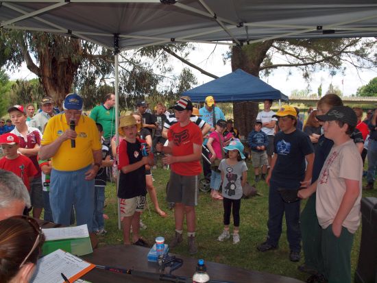 Carp: the Australian story